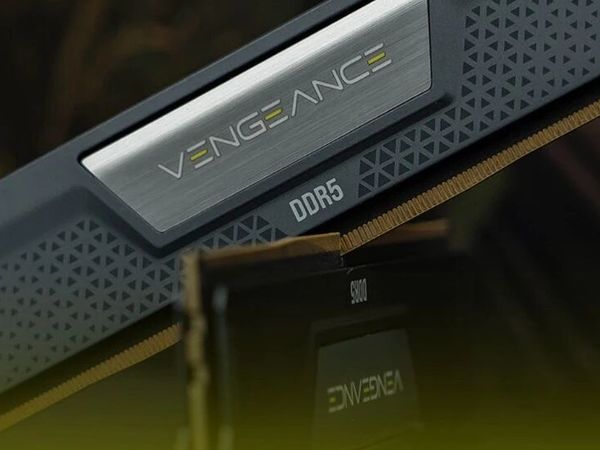 高品质性价比DDR5内存新选择