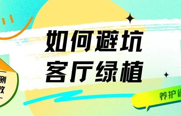 小白亲测：一篇文章教你如何避坑客厅绿植