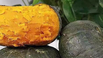 粉糯香甜的山东宝藏——贝贝南瓜，一口尝尽秋日温柔。