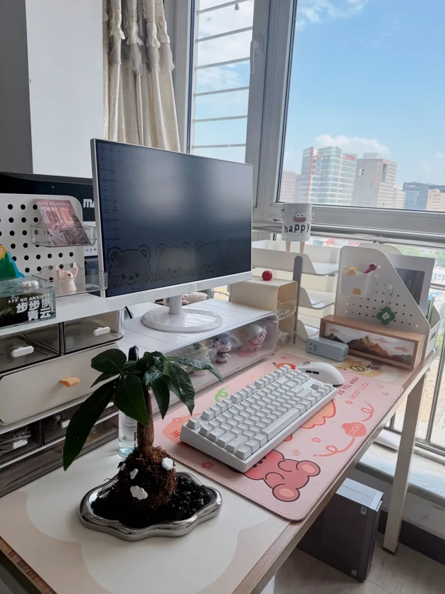 真心建议！上班族都用无线鼠标🖱️