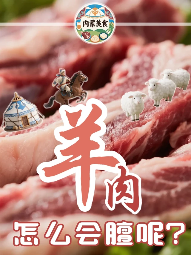 🎪 内蒙羊肉｜天然饲草，嫩而不膻！🍖