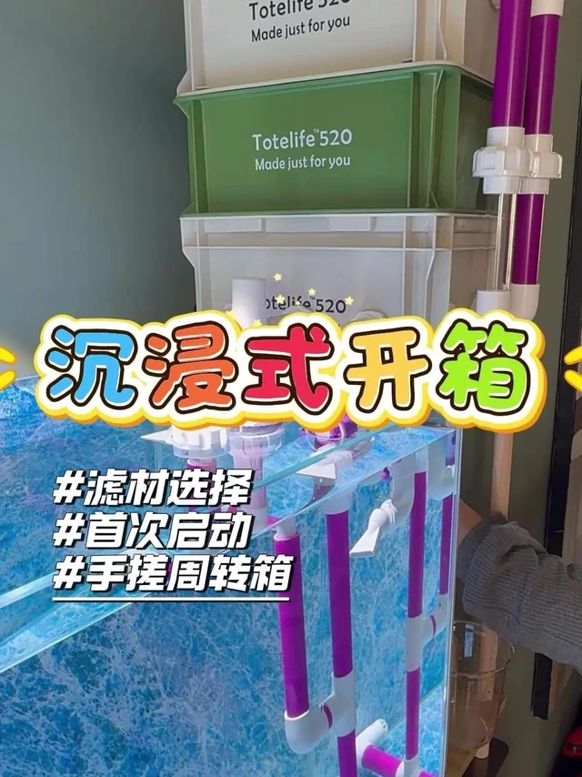 周转箱开缸过滤系统超详细攻略。🧱周转箱开缸过滤系统怎么搭？保姆级教程来啦！
1️⃣准备材料：先把小号周转箱需要的管件工具准备好，水泵选酷鱼二代3000流量的，根据鱼缸70*40*50的尺寸来配，记得截