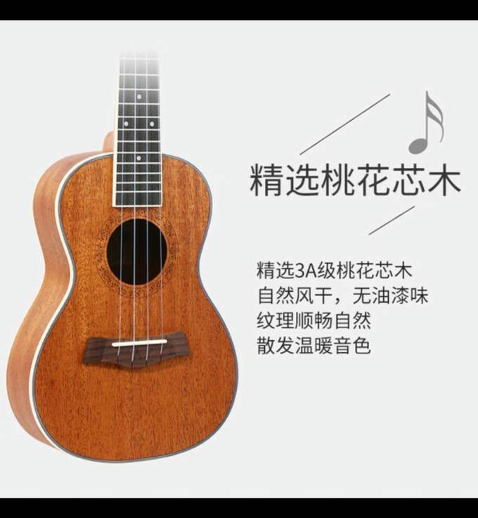 莫森西洋弦乐器