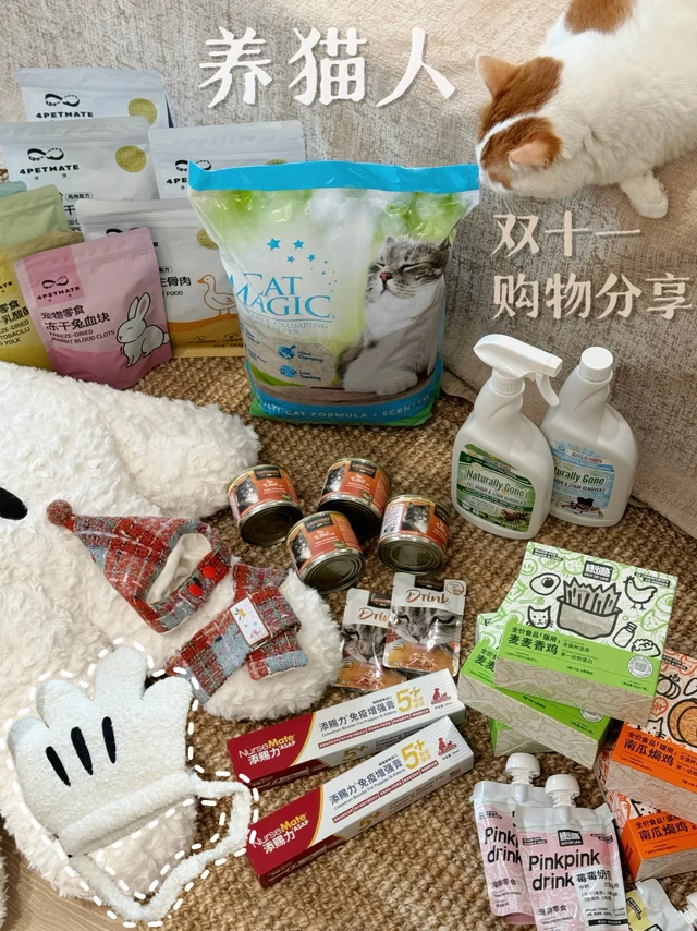 双十一养猫人购物分享 | 囤积冬天的暖意