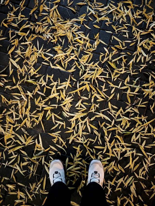 雨后到北土城的河边夜跑和散步，测试刚买的Suunto Race2户外手表，还有上个月买的Kailas Fuga EX3越野跑鞋。试用了手表的跑步、越野跑、徒步、远足、步行五种运动模式以及地图导航和轨迹