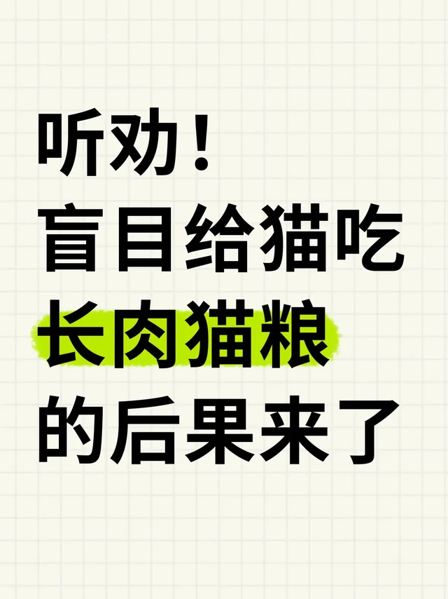 盲目喂长肉猫粮的后果来了！