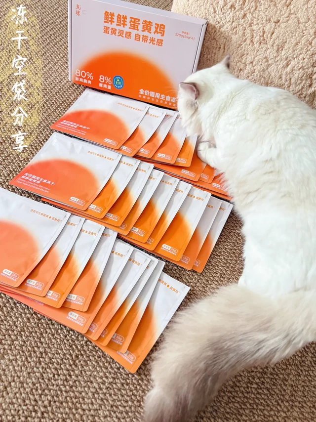 5猫家庭吃空无数袋的蛋黄冻干分享～