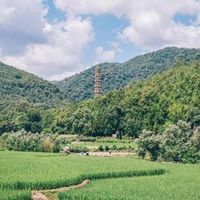 星野集团的国内首店，深入感受天台山千年历史文化