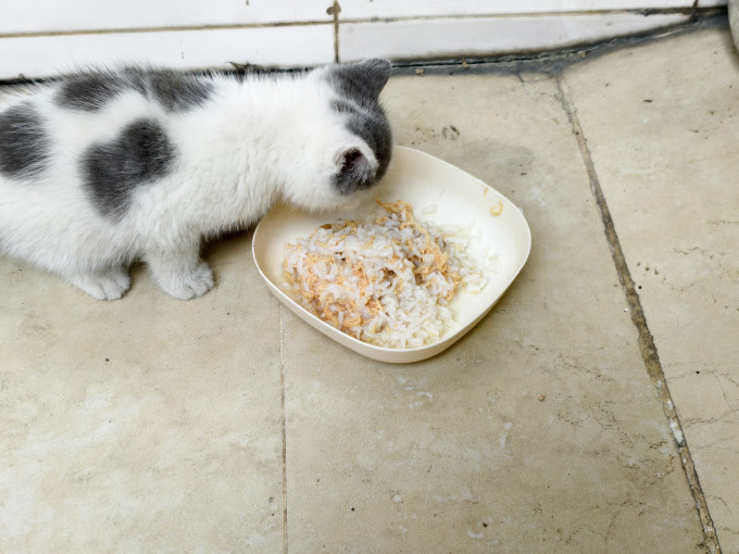 网易严选猫咪零食罐/妙鲜包