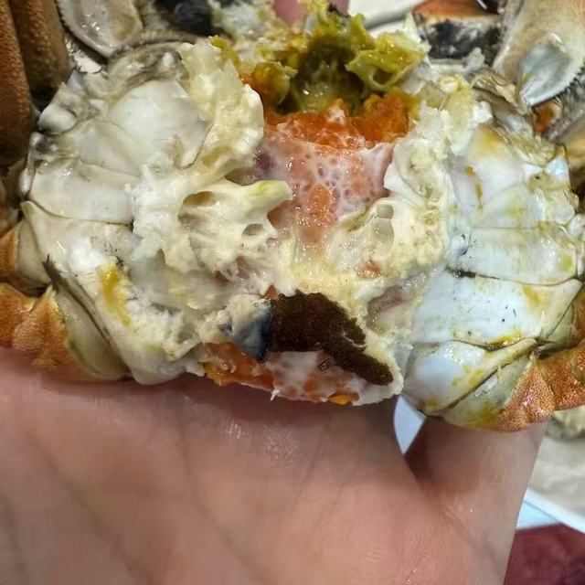 蟹如愿阳澄湖大闸蟹全母礼盒实测！送礼自留都封神✨