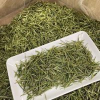 为什么说海拔越高茶叶越好呢?快来了解！