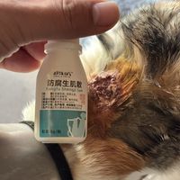 希望人类的科技结晶，能够救我猫命！！
