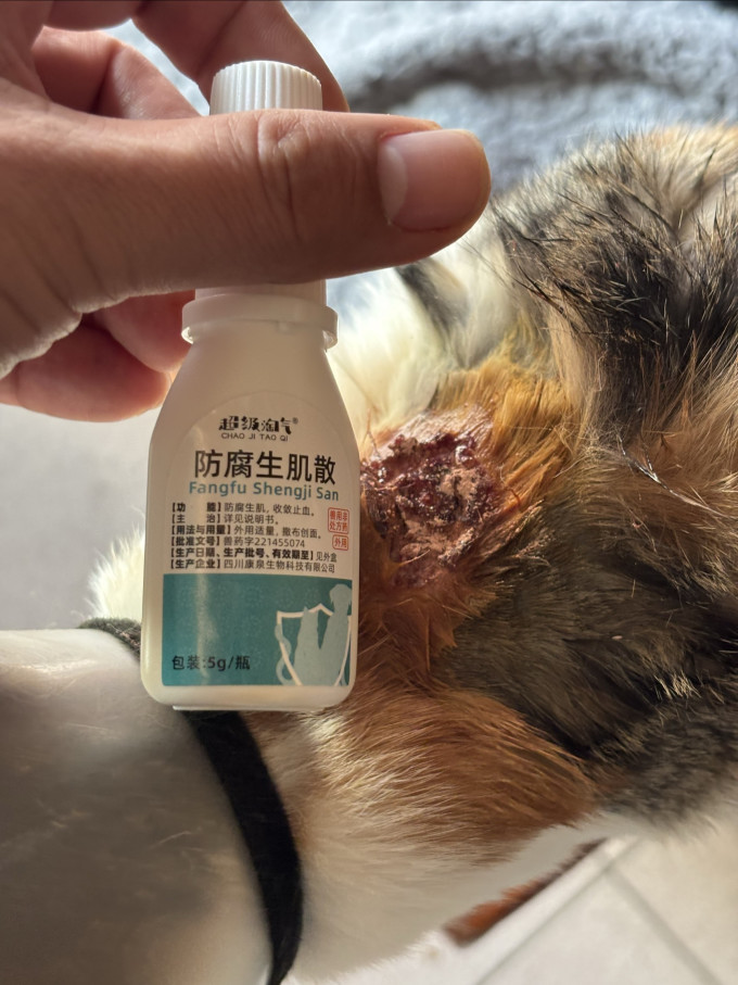 武洁宠物皮肤病预防