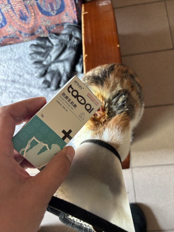 武洁宠物皮肤病预防