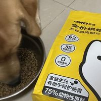 玻璃胃小狗吃什么狗粮最好？测评分析希喂鲜肉烘焙狗粮