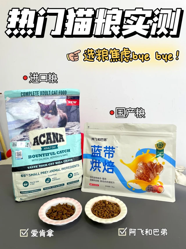 养猫五年老司机！进口粮和国产粮实测分享