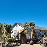 美国66号公路 vs 中国川藏线？38位自驾老炮的真实体验告诉你答案