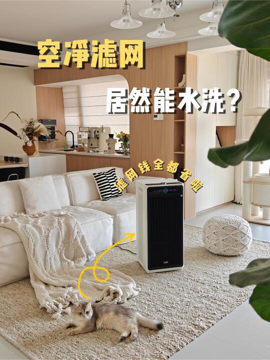 空净不用换滤网？双十一蹲空净的还不闭眼入