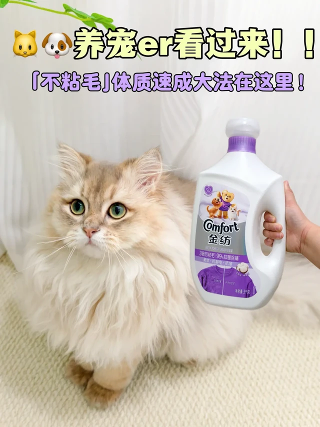 有了ta我才真正和猫毛和解