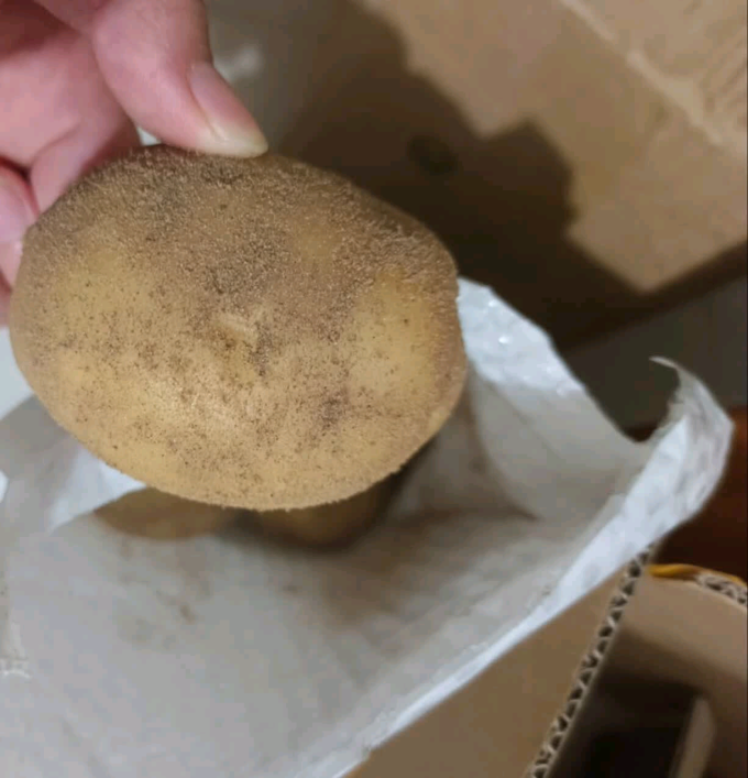 蔬菜