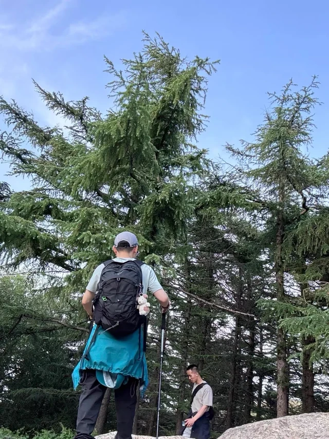 小鹰通勤电脑包