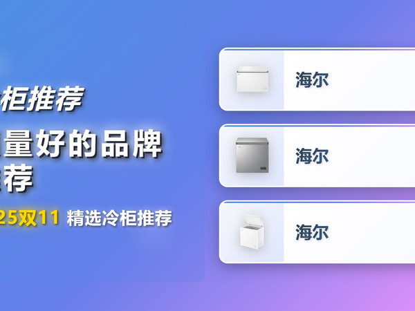 2025双十一冷柜怎么选不踩坑？精选海尔3款家用/商用冷柜推荐，涵盖不同容量与功能，2025年双11冷柜选购指南，闭眼入不后悔！