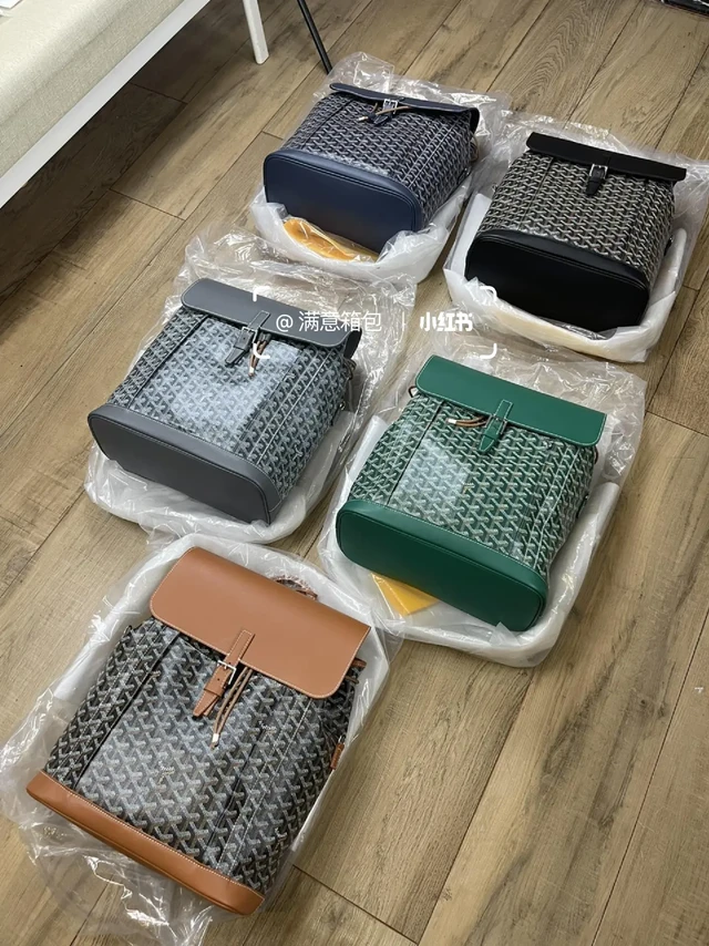 Goyard戈雅alpin大号男士双肩背包