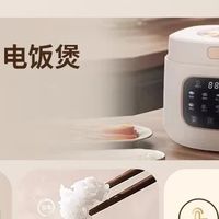 华生4L电饭煲：实用与健康兼备