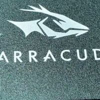 希捷酷鱼SSD：高速读写与稳定可靠