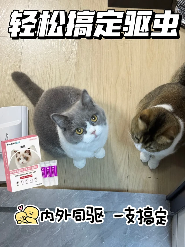 给猫选滴呗驱虫的安心感，泰淘气给足了