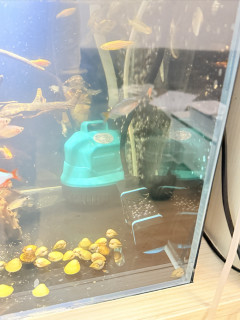 智能加热棒推荐：新款更优