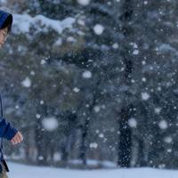 温度风度兼顾，单导中长款棉服，年轻人穿更帅气