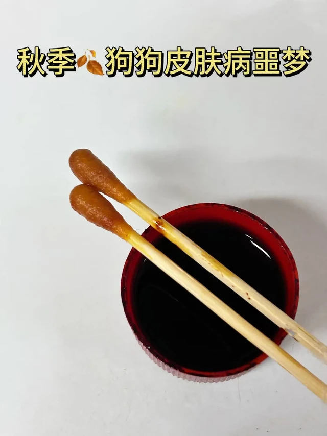 朋友兽医，告诉我的一些大实话（狗狗皮肤病