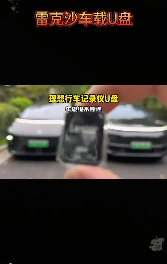 Lexar雷克沙U盘，适配特斯拉行车记录仪循环录像
#行车记录仪 #车载存储 #哨兵模式 #雷克沙U盘 #特斯拉专用