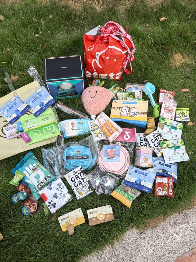 宠物时装周 🐏打卡攻略