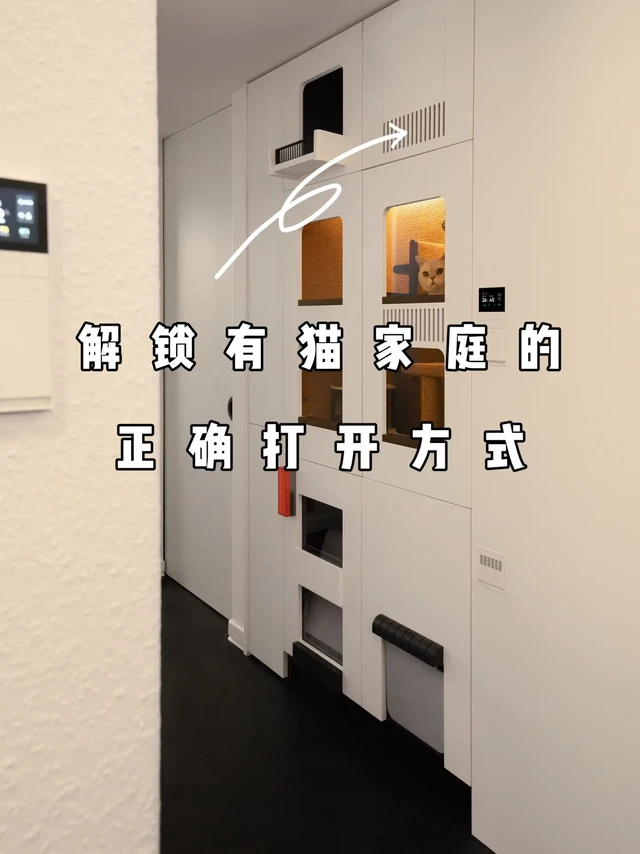 解锁有猫家庭的正确打开方式‼️