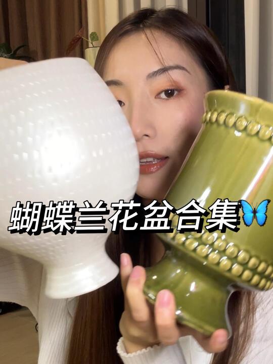 蝴蝶兰花盆分享🦋|蝴蝶兰的花盆真的很重要！