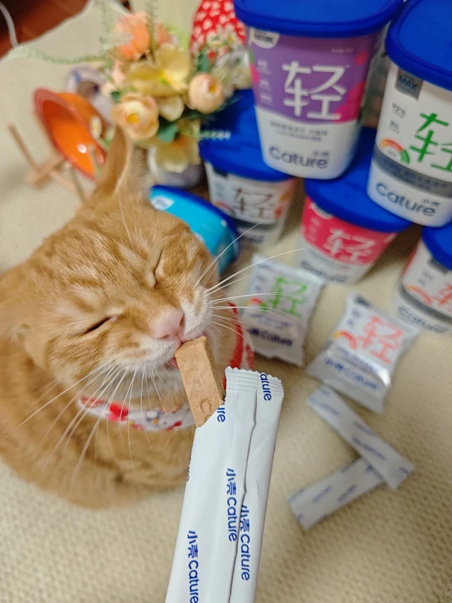 小壳最近是不是开挂了！