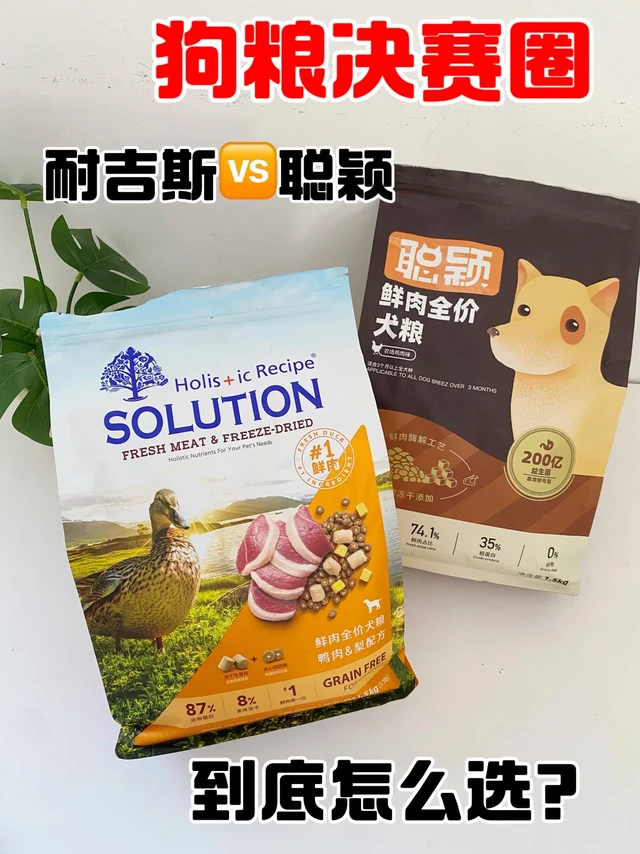耐吉斯狗粮还是聪颖，到底选哪个...