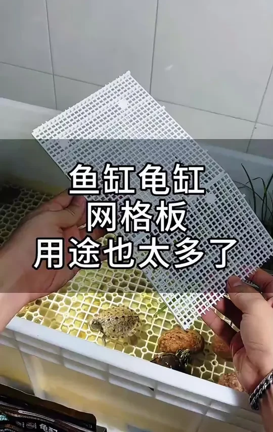 超实用龟缸造景板，可拼接还能隔离底沙！
#龟缸造景板 #网格板好物 #乌龟爬晒台 #实用龟缸板 #实用水族用品