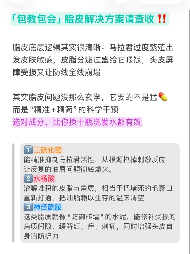 脂皮找精简有效的成分