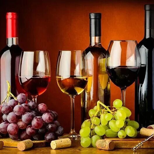 Errazuriz -- Outstanding Chilean wine伊拉苏酒庄-- 杰出的智利葡萄酒