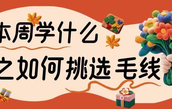 本周学什么之如何挑选毛线
