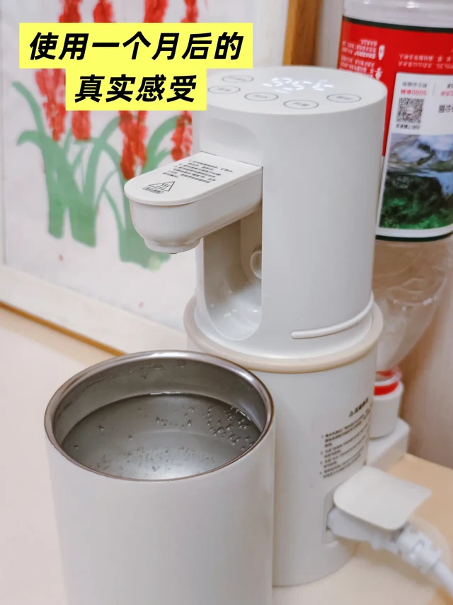 说点大实话,关于BRUNO家新品便携即热饮水机