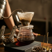 捌比特秋珀萨奇姆浅烘豆：酸味爱好者的福音还是劝退？300+用户真实口碑PK