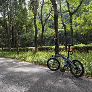 上车 DAHON P10，趁天凉，一起去快乐骑行吧！