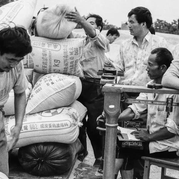 农民以前交的公粮、三提五统，现在能不能算成社保？