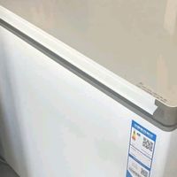 海尔300升冰柜：家用商用两相宜