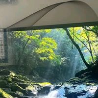 酷开50P31电视：超薄全面屏体验