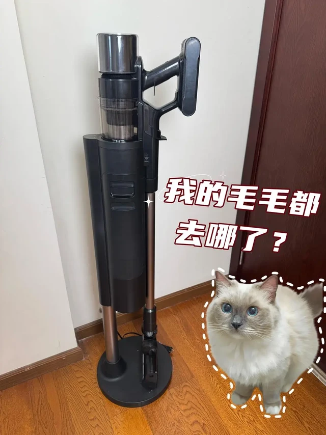 这台自集尘吸尘器让我告别“毛毛大战”